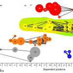 STSM – Expanding the use of science maps in sociological analyses by positioning actors in knowledge landscapes by Jochen Gläser